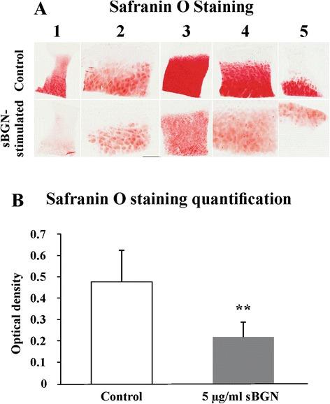 https://cdn.ncbi.nlm.nih.gov/pmc/blobs/cd3d/4718039/152a45730777/13075_2015_902_Fig5_HTML.jpg