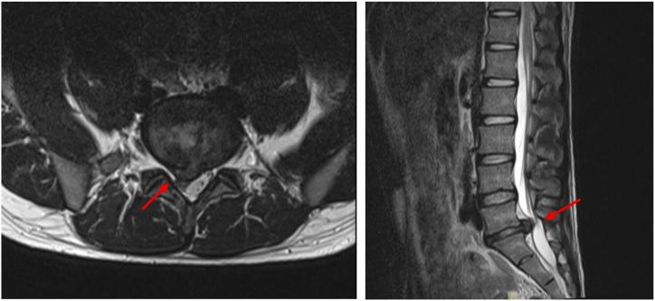 https://cdn.ncbi.nlm.nih.gov/pmc/blobs/cd40/10559763/35634cbfd849/gr1.jpg