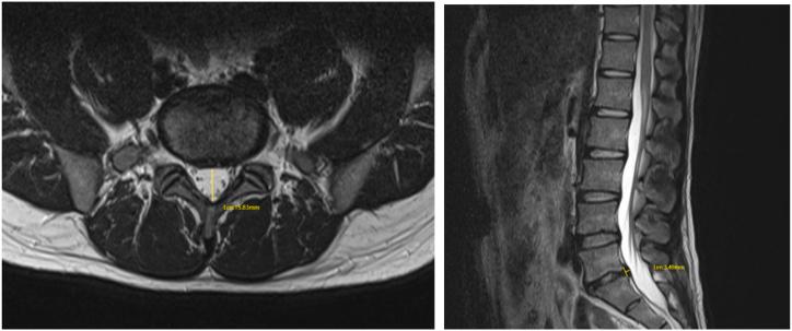 https://cdn.ncbi.nlm.nih.gov/pmc/blobs/cd40/10559763/a28da427eb22/gr4.jpg