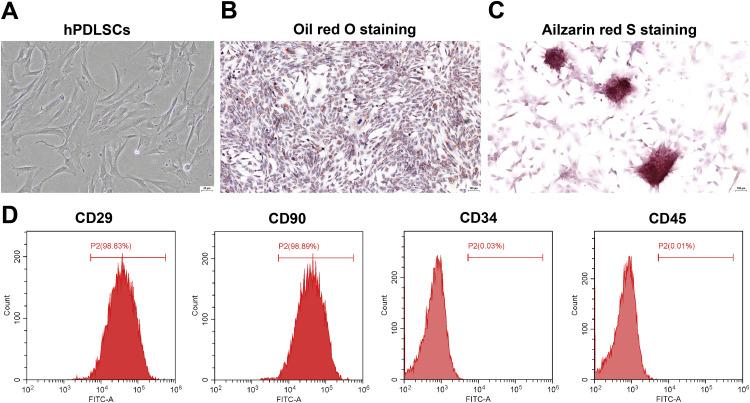 https://cdn.ncbi.nlm.nih.gov/pmc/blobs/cd40/12375197/40f8dec84f2b/gr3.jpg