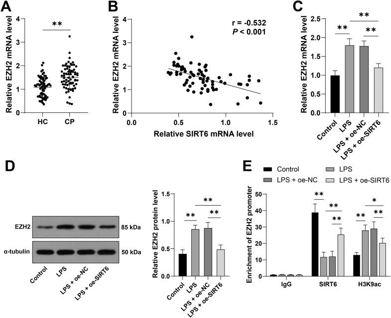 https://cdn.ncbi.nlm.nih.gov/pmc/blobs/cd40/12375197/7f90770dd0f5/gr5.jpg