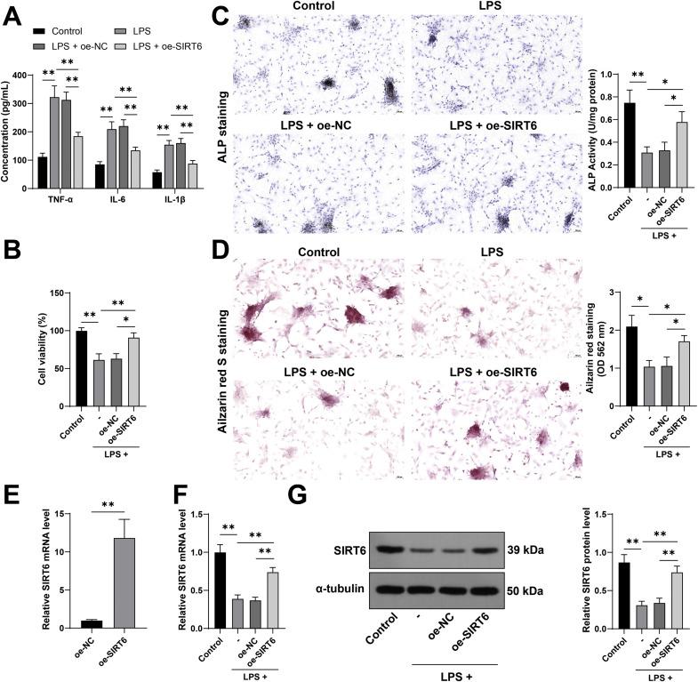 https://cdn.ncbi.nlm.nih.gov/pmc/blobs/cd40/12375197/e0c49a1c9460/gr4.jpg