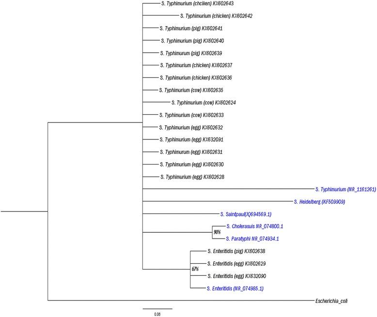 https://cdn.ncbi.nlm.nih.gov/pmc/blobs/cd40/5530968/993be2d8a7e0/40794_2016_45_Fig3_HTML.jpg