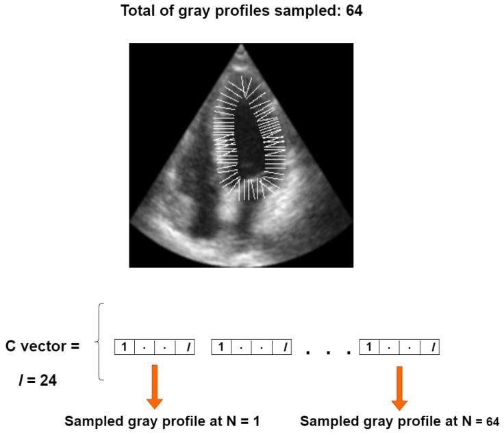 https://cdn.ncbi.nlm.nih.gov/pmc/blobs/cd45/12112286/6a0344c7ce8f/jimaging-11-00165-g007.jpg