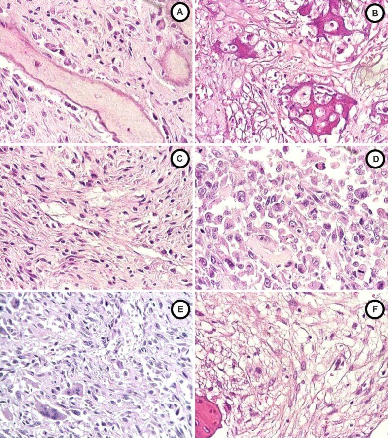 https://cdn.ncbi.nlm.nih.gov/pmc/blobs/cd48/11924893/dcd1536820a9/RJME-65-4-723-fig1.jpg