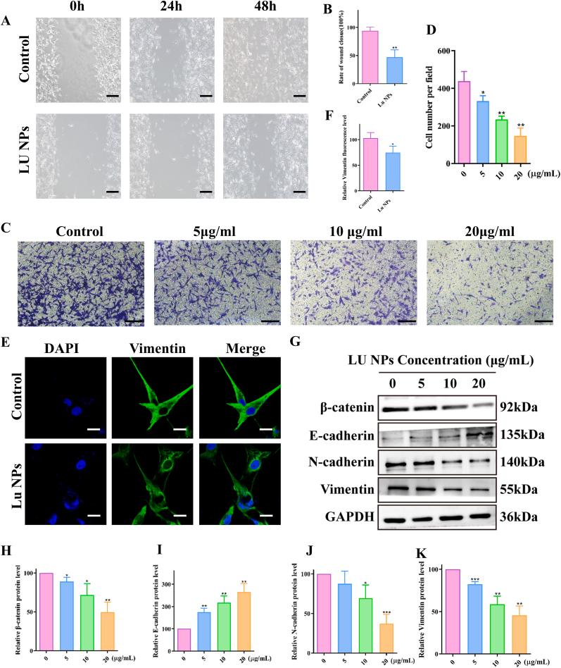 https://cdn.ncbi.nlm.nih.gov/pmc/blobs/cd48/12213306/493622eb3839/gr3.jpg