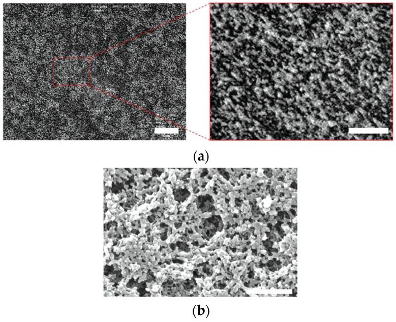 https://cdn.ncbi.nlm.nih.gov/pmc/blobs/cd49/10972530/1e10c4e1b525/materials-17-01291-g007.jpg