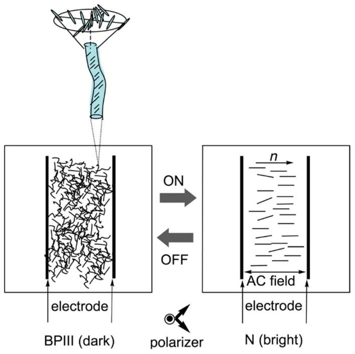 https://cdn.ncbi.nlm.nih.gov/pmc/blobs/cd49/10972530/6f1555dfefb4/materials-17-01291-g026.jpg