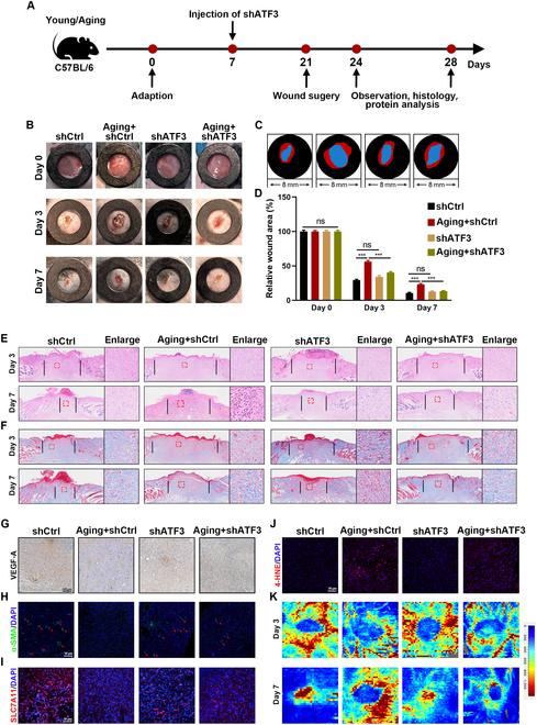 https://cdn.ncbi.nlm.nih.gov/pmc/blobs/cd49/12133029/42b5a5df2f19/research.0718.fig.008.jpg
