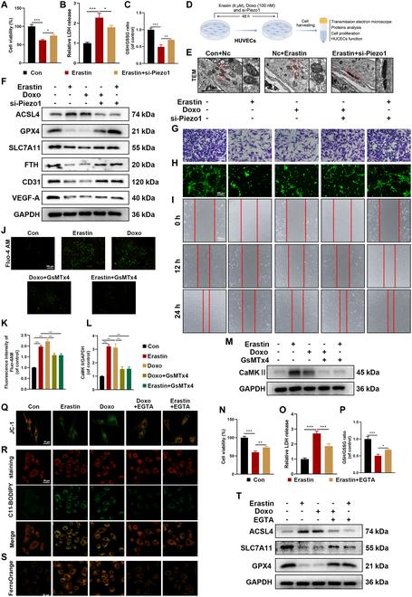 https://cdn.ncbi.nlm.nih.gov/pmc/blobs/cd49/12133029/4bbccc19ef39/research.0718.fig.003.jpg
