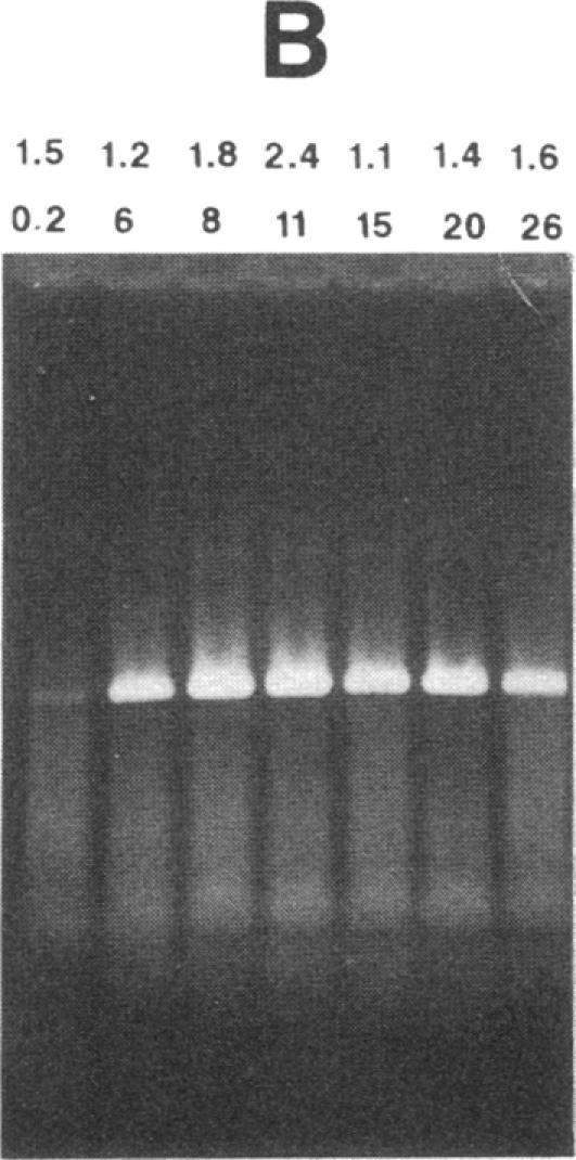 https://cdn.ncbi.nlm.nih.gov/pmc/blobs/cd49/443170/1b02ec64a57a/jcinvest00052-0111-e.jpg