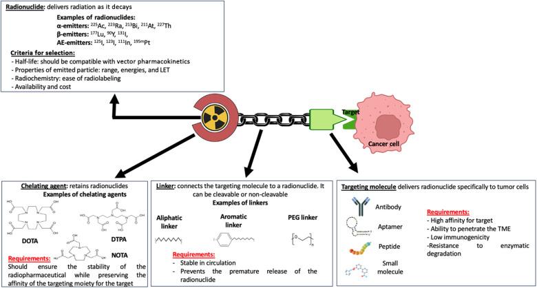 https://cdn.ncbi.nlm.nih.gov/pmc/blobs/cd4a/11440989/371450c0ad55/fnume-04-1331364-g002.jpg