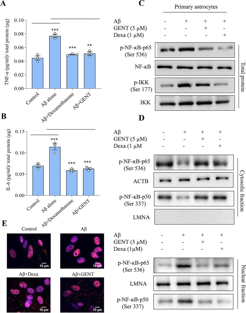 https://cdn.ncbi.nlm.nih.gov/pmc/blobs/cd4a/11864677/3c28d8408123/KAUO_A_2296209_F0007_OC.jpg