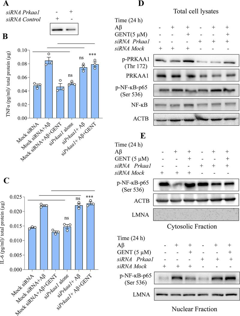 https://cdn.ncbi.nlm.nih.gov/pmc/blobs/cd4a/11864677/db465a72cbcb/KAUO_A_2296209_F0008_OC.jpg
