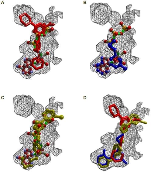 https://cdn.ncbi.nlm.nih.gov/pmc/blobs/cd4a/3187749/8b55c180e8ea/pone.0025134.g004.jpg