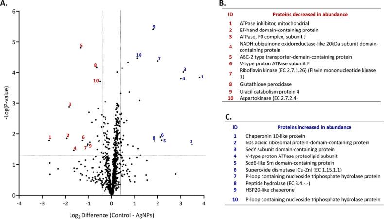 https://cdn.ncbi.nlm.nih.gov/pmc/blobs/cd4b/12392174/bc8d62bc55f0/ao5c03275_0003.jpg