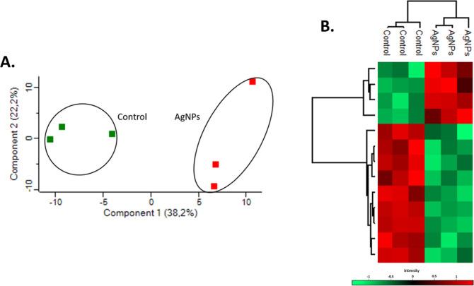 https://cdn.ncbi.nlm.nih.gov/pmc/blobs/cd4b/12392174/e75c35bc61cd/ao5c03275_0006.jpg