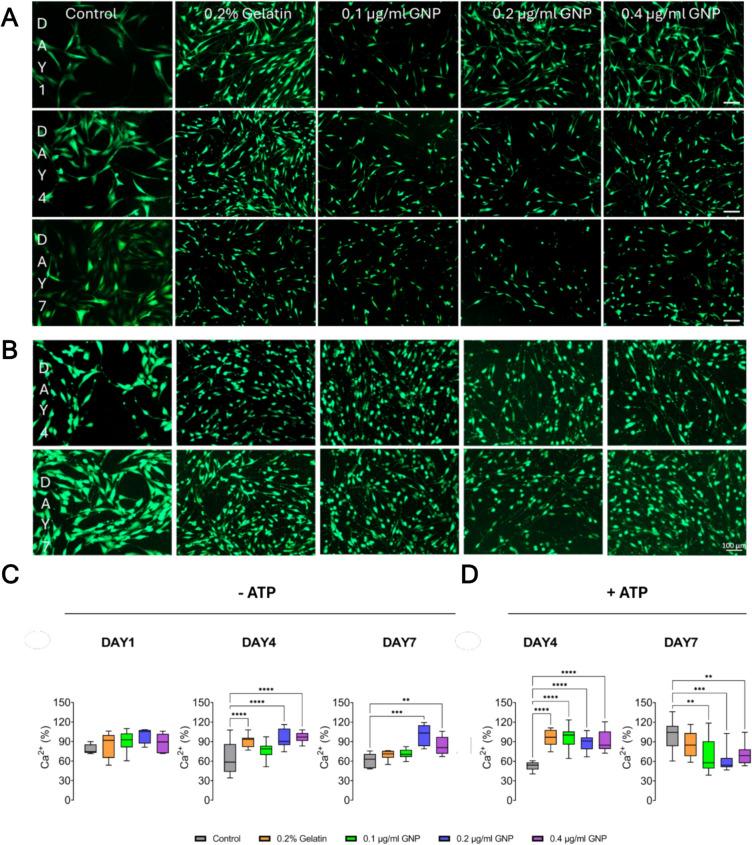 https://cdn.ncbi.nlm.nih.gov/pmc/blobs/cd4d/12123866/57f9eccf862c/40659_2025_616_Fig3_HTML.jpg