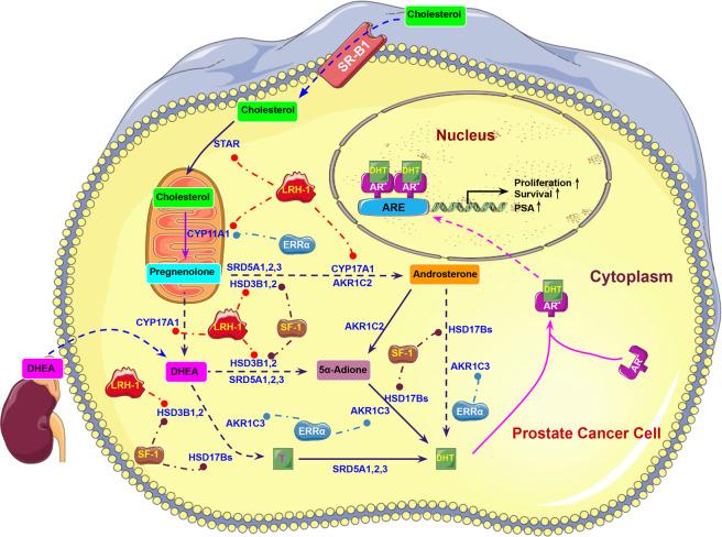 https://cdn.ncbi.nlm.nih.gov/pmc/blobs/cd4d/8049868/2ec4b6175b3d/41388_2021_1737_Fig2_HTML.jpg