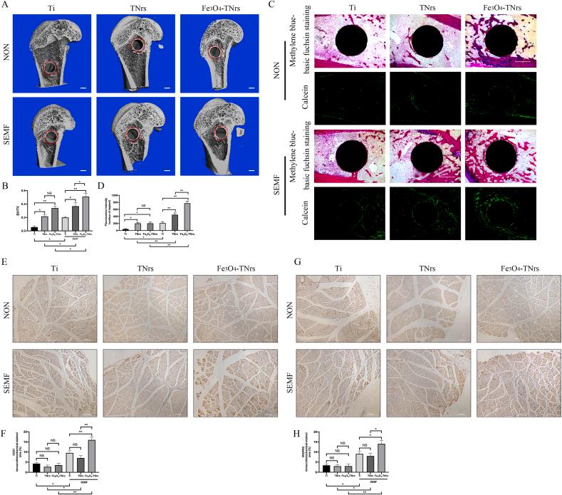 https://cdn.ncbi.nlm.nih.gov/pmc/blobs/cd4f/9996442/16dfff1a0061/gr6.jpg