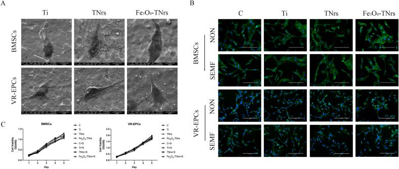https://cdn.ncbi.nlm.nih.gov/pmc/blobs/cd4f/9996442/297c79f41221/gr3.jpg
