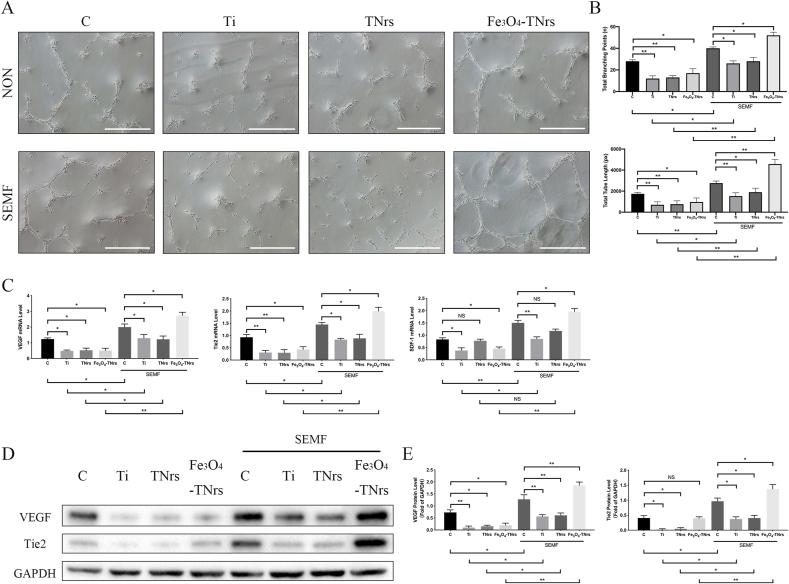 https://cdn.ncbi.nlm.nih.gov/pmc/blobs/cd4f/9996442/464aa77b5f5a/gr4.jpg