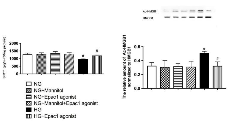 https://cdn.ncbi.nlm.nih.gov/pmc/blobs/cd50/6279194/5291c18f521d/mv-v24-727-f2.jpg