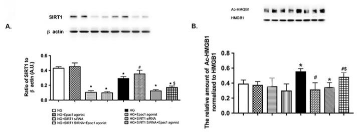 https://cdn.ncbi.nlm.nih.gov/pmc/blobs/cd50/6279194/86d1f41a2cb6/mv-v24-727-f4.jpg