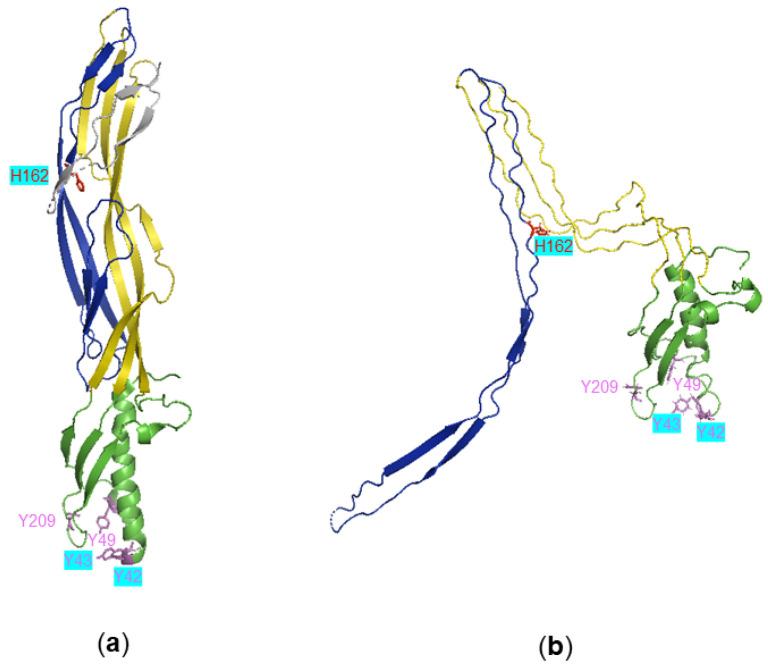 https://cdn.ncbi.nlm.nih.gov/pmc/blobs/cd51/9694948/27b8d83bb319/toxins-14-00757-g001.jpg