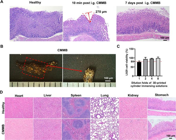 https://cdn.ncbi.nlm.nih.gov/pmc/blobs/cd52/11987600/4bbba64240a7/gr6.jpg