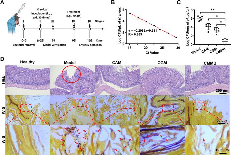 https://cdn.ncbi.nlm.nih.gov/pmc/blobs/cd52/11987600/838bbafca485/gr5.jpg