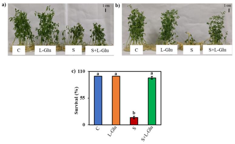 https://cdn.ncbi.nlm.nih.gov/pmc/blobs/cd52/8073835/c4259f613e8a/biomolecules-11-00587-g001.jpg