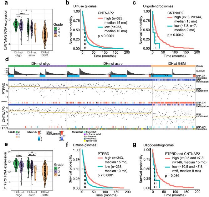 https://cdn.ncbi.nlm.nih.gov/pmc/blobs/cd52/9388569/4b23f0363657/41598_2022_14977_Fig2_HTML.jpg