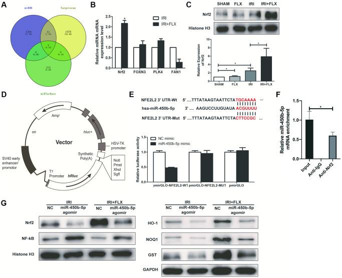https://cdn.ncbi.nlm.nih.gov/pmc/blobs/cd54/10781502/0466d214239a/aging-15-204289-g005.jpg