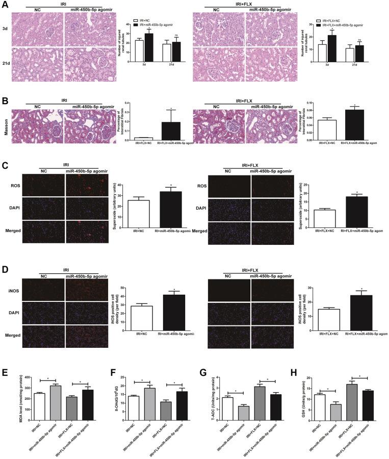 https://cdn.ncbi.nlm.nih.gov/pmc/blobs/cd54/10781502/1a38d6221916/aging-15-204289-g004.jpg