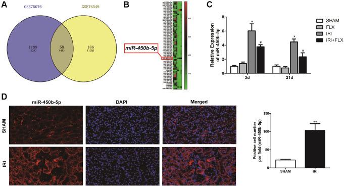 https://cdn.ncbi.nlm.nih.gov/pmc/blobs/cd54/10781502/48109c185a85/aging-15-204289-g003.jpg