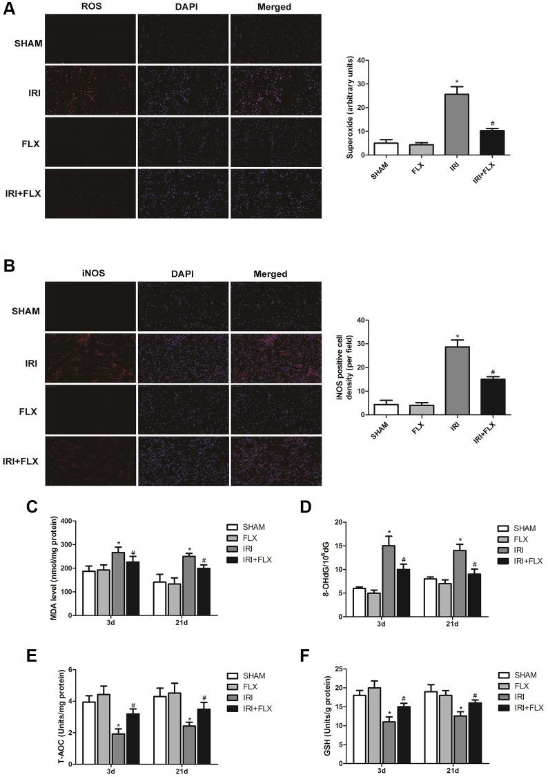 https://cdn.ncbi.nlm.nih.gov/pmc/blobs/cd54/10781502/a61545722411/aging-15-204289-g002.jpg