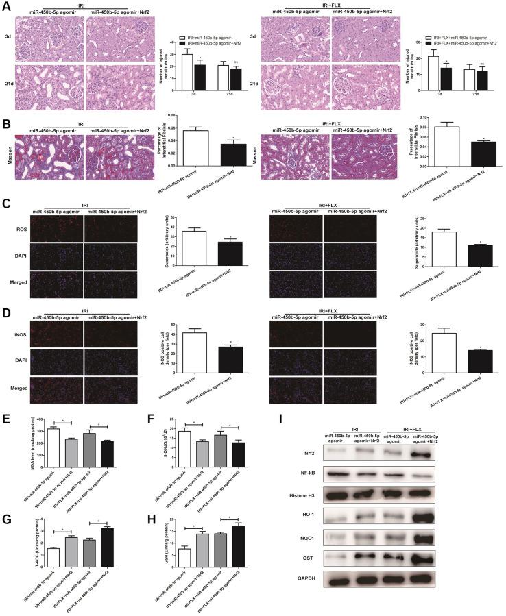 https://cdn.ncbi.nlm.nih.gov/pmc/blobs/cd54/10781502/a86ae1ce9eab/aging-15-204289-g006.jpg