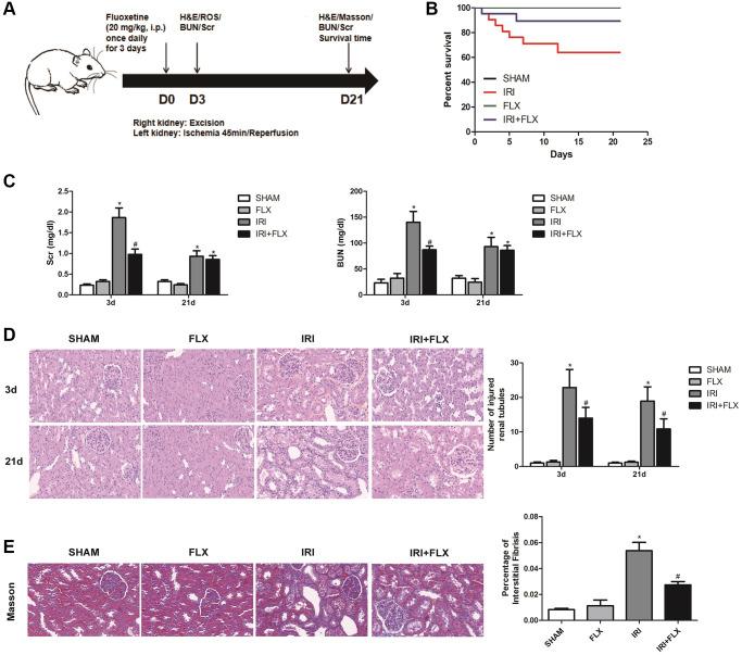 https://cdn.ncbi.nlm.nih.gov/pmc/blobs/cd54/10781502/b9938a964992/aging-15-204289-g001.jpg