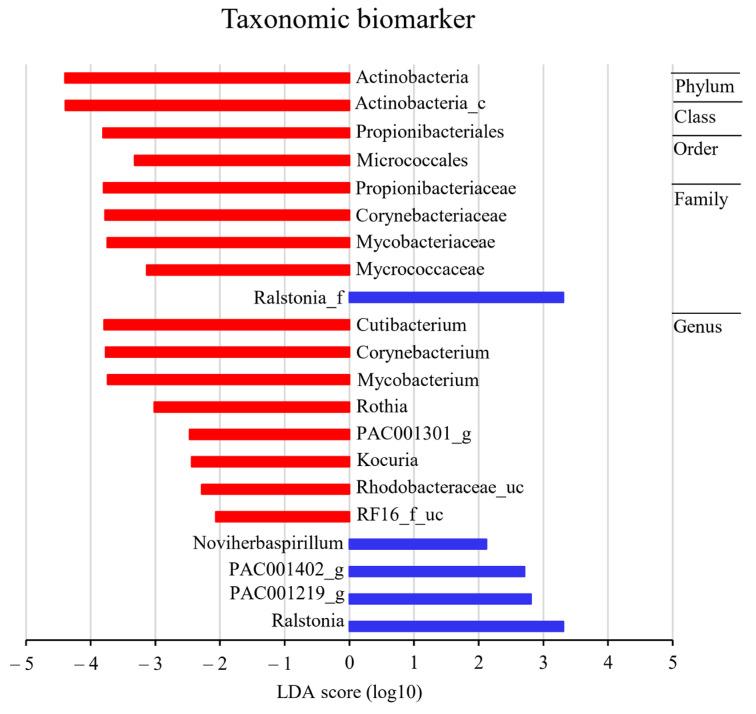 https://cdn.ncbi.nlm.nih.gov/pmc/blobs/cd55/11354394/25ce1bc490cc/ijms-25-08943-g007.jpg