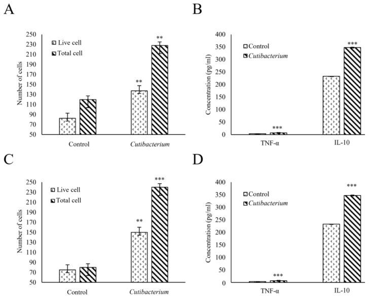 https://cdn.ncbi.nlm.nih.gov/pmc/blobs/cd55/11354394/5362c7343fd2/ijms-25-08943-g009.jpg