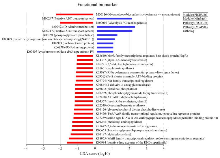 https://cdn.ncbi.nlm.nih.gov/pmc/blobs/cd55/11354394/9bccc7631f95/ijms-25-08943-g008.jpg