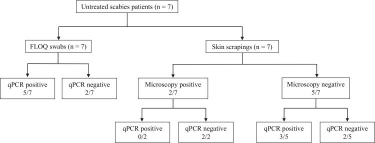 https://cdn.ncbi.nlm.nih.gov/pmc/blobs/cd55/7939366/35aed12241f5/pntd.0009149.g005.jpg