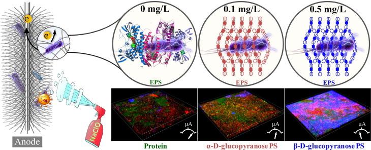 https://cdn.ncbi.nlm.nih.gov/pmc/blobs/cd56/8492042/393a48d838a4/ga1_lrg.jpg