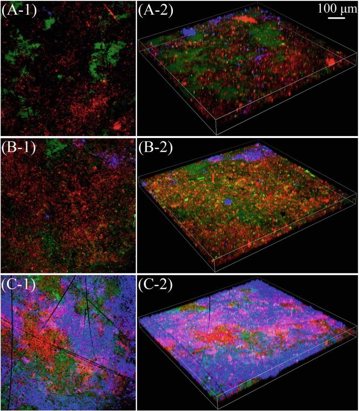 https://cdn.ncbi.nlm.nih.gov/pmc/blobs/cd56/8492042/ee1c1ca86ed6/gr4_lrg.jpg