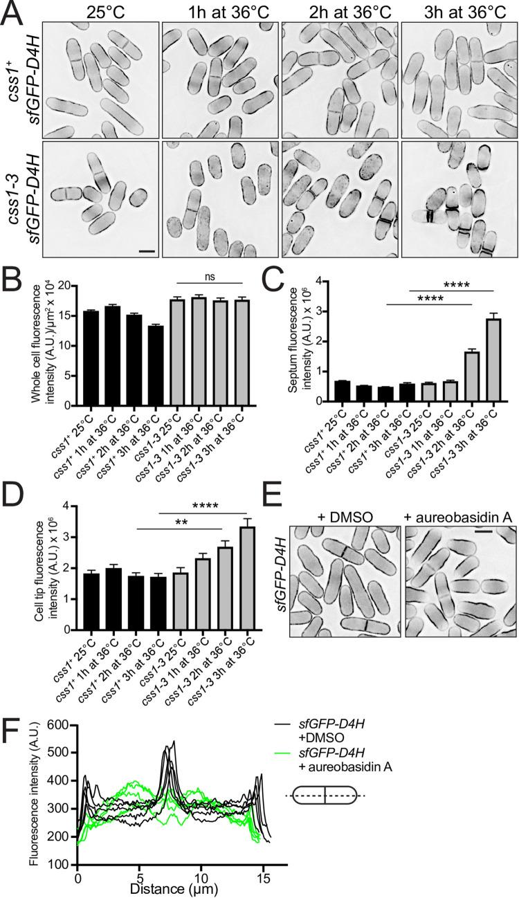 https://cdn.ncbi.nlm.nih.gov/pmc/blobs/cd58/10578601/ee469f23bbe8/pgen.1010987.g004.jpg