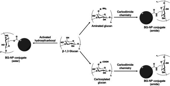 https://cdn.ncbi.nlm.nih.gov/pmc/blobs/cd58/12118341/18a49d4f21bb/ADHM-14-0-g005.jpg
