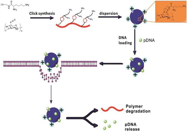 https://cdn.ncbi.nlm.nih.gov/pmc/blobs/cd58/12118341/2986ae2683cf/ADHM-14-0-g004.jpg