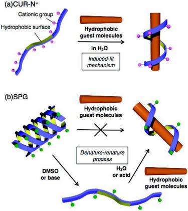 https://cdn.ncbi.nlm.nih.gov/pmc/blobs/cd58/12118341/2d148b87fca3/ADHM-14-0-g012.jpg