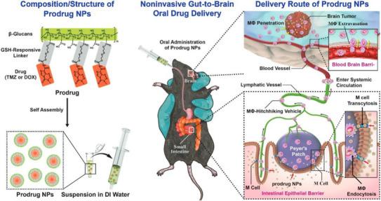 https://cdn.ncbi.nlm.nih.gov/pmc/blobs/cd58/12118341/908a40b9a8e4/ADHM-14-0-g010.jpg